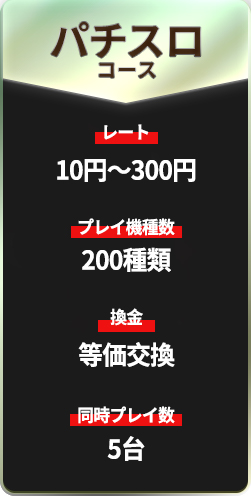 ѥ ⡧1,100ߡǹ ץ쥤ѥΤ 300ʾ 㤨ɥС30,000ɥ ץ쥤˻Ȥ̲ ץƱƱ3